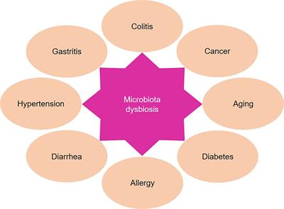 The Impact of Gut Microbiota on Radiation-Induced Enteritis